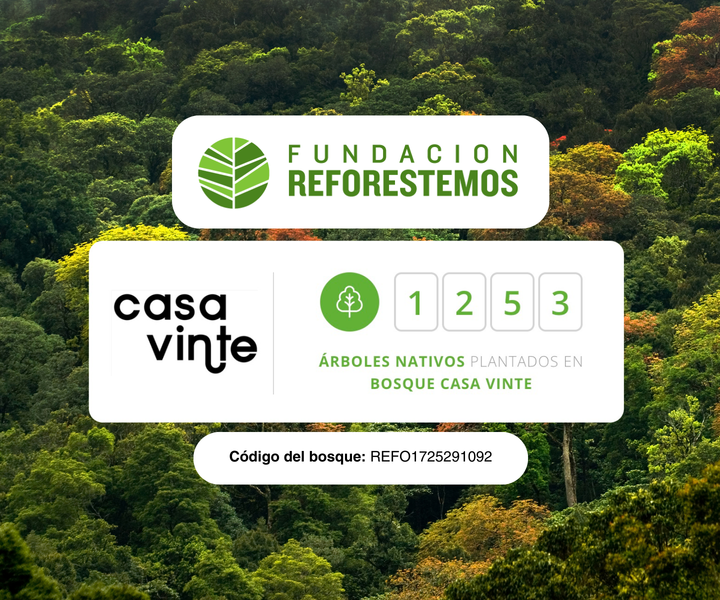 Razones para confiar en Casa Vinte al elegir tu mesa de centro